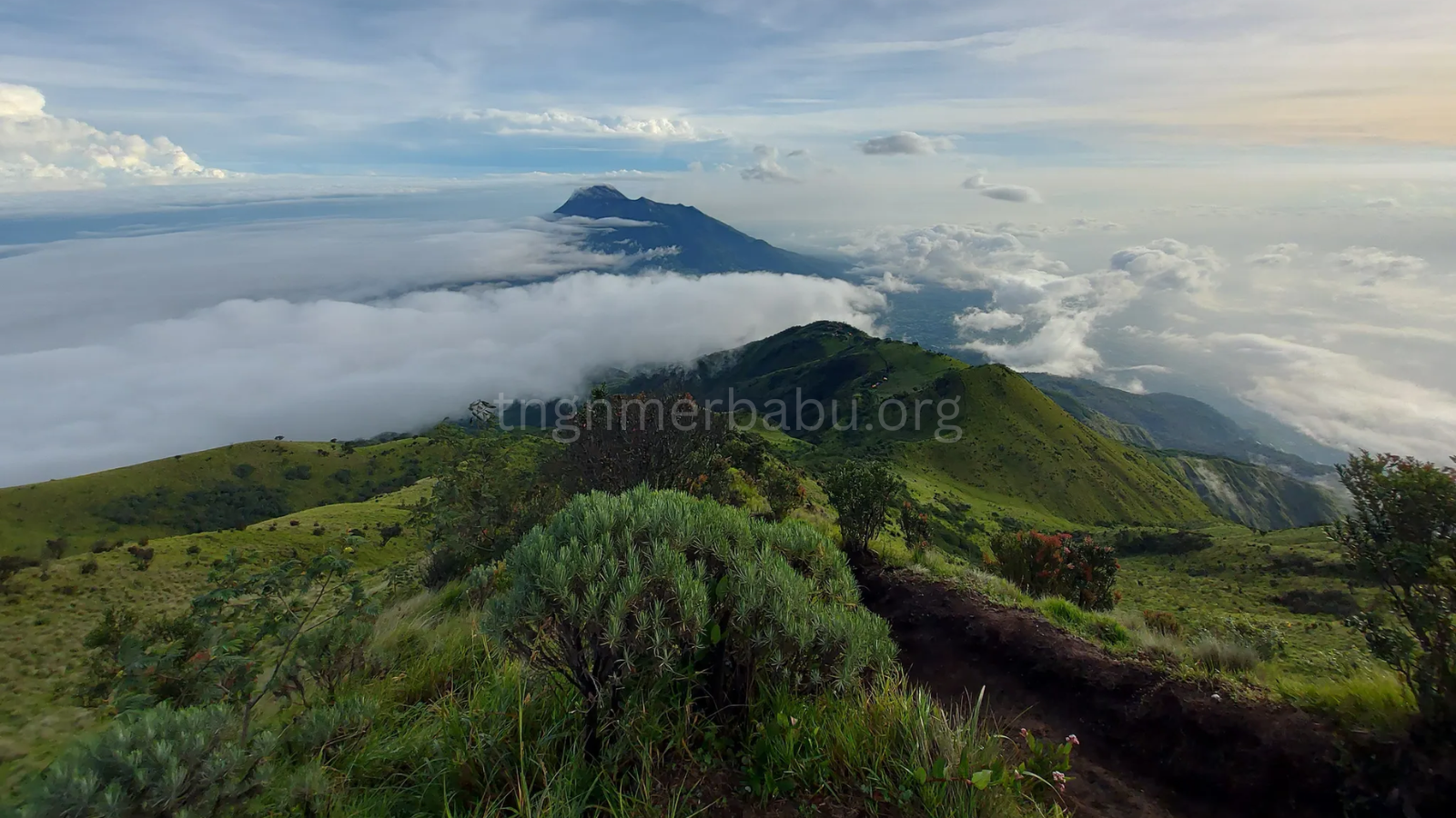 tngnmerbabu.org