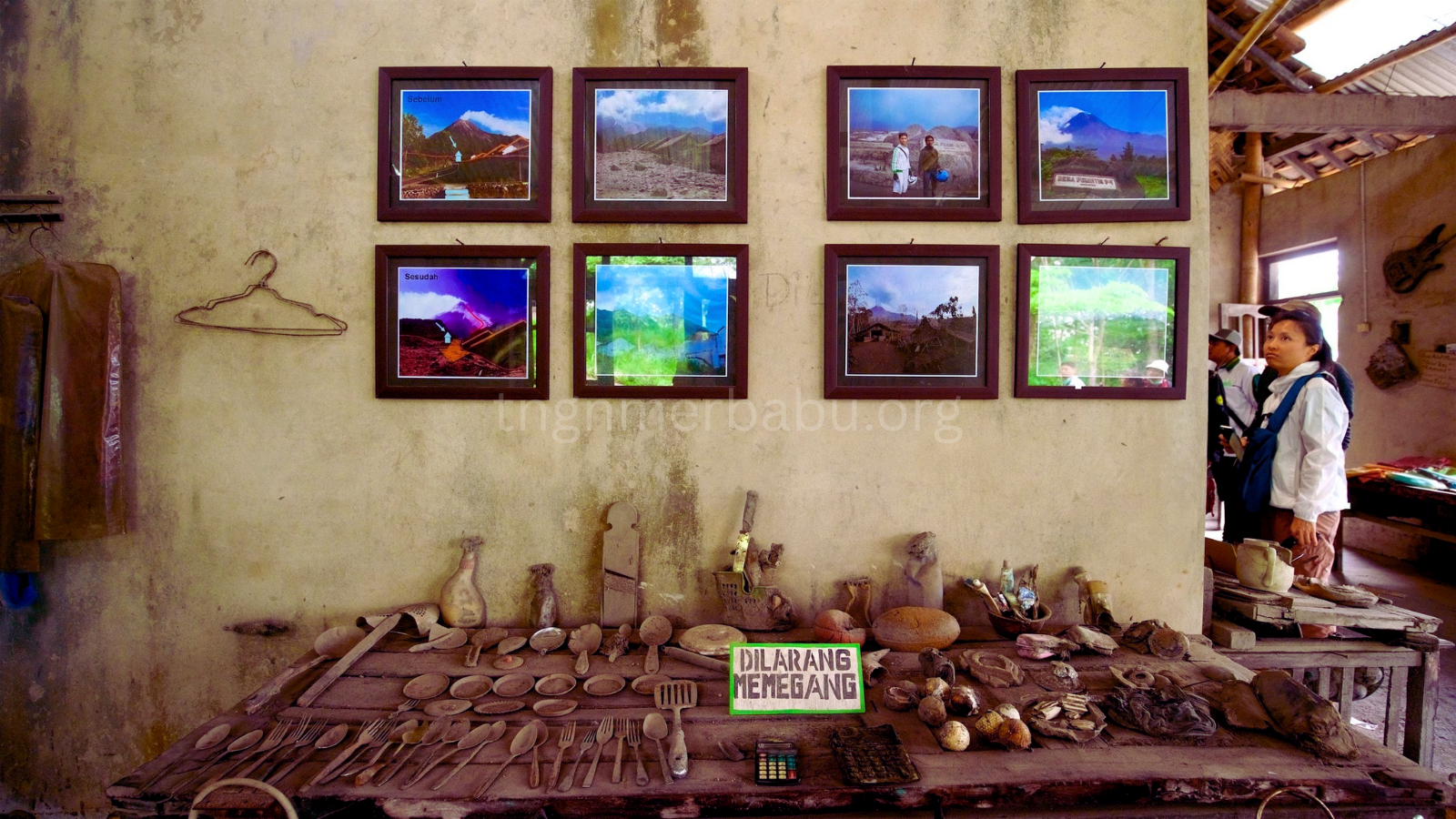 tngnmerbabu.org