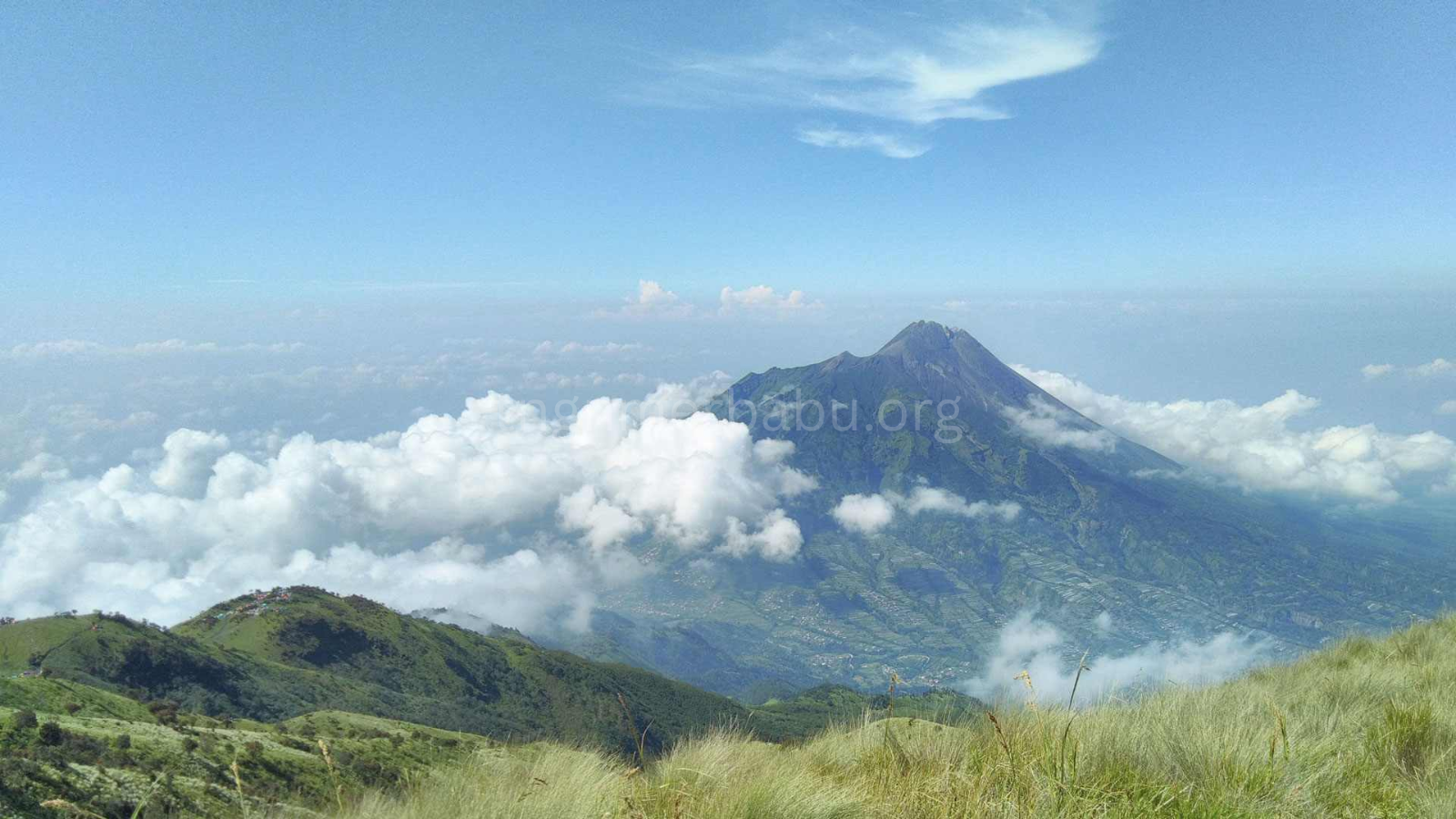 tngnmerbabu.org