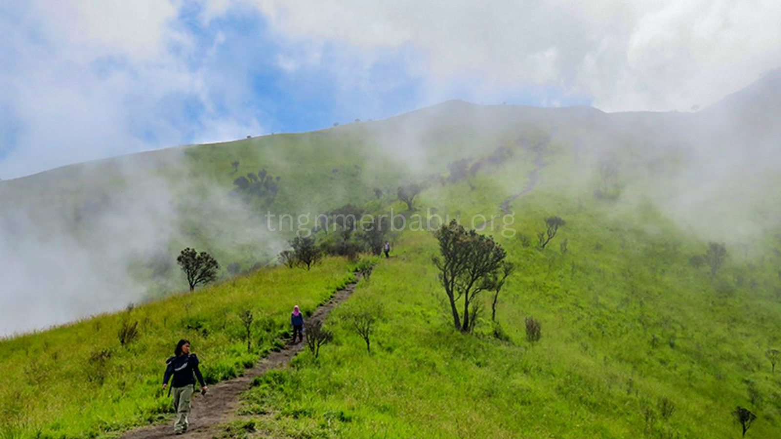 tngnmerbabu.org