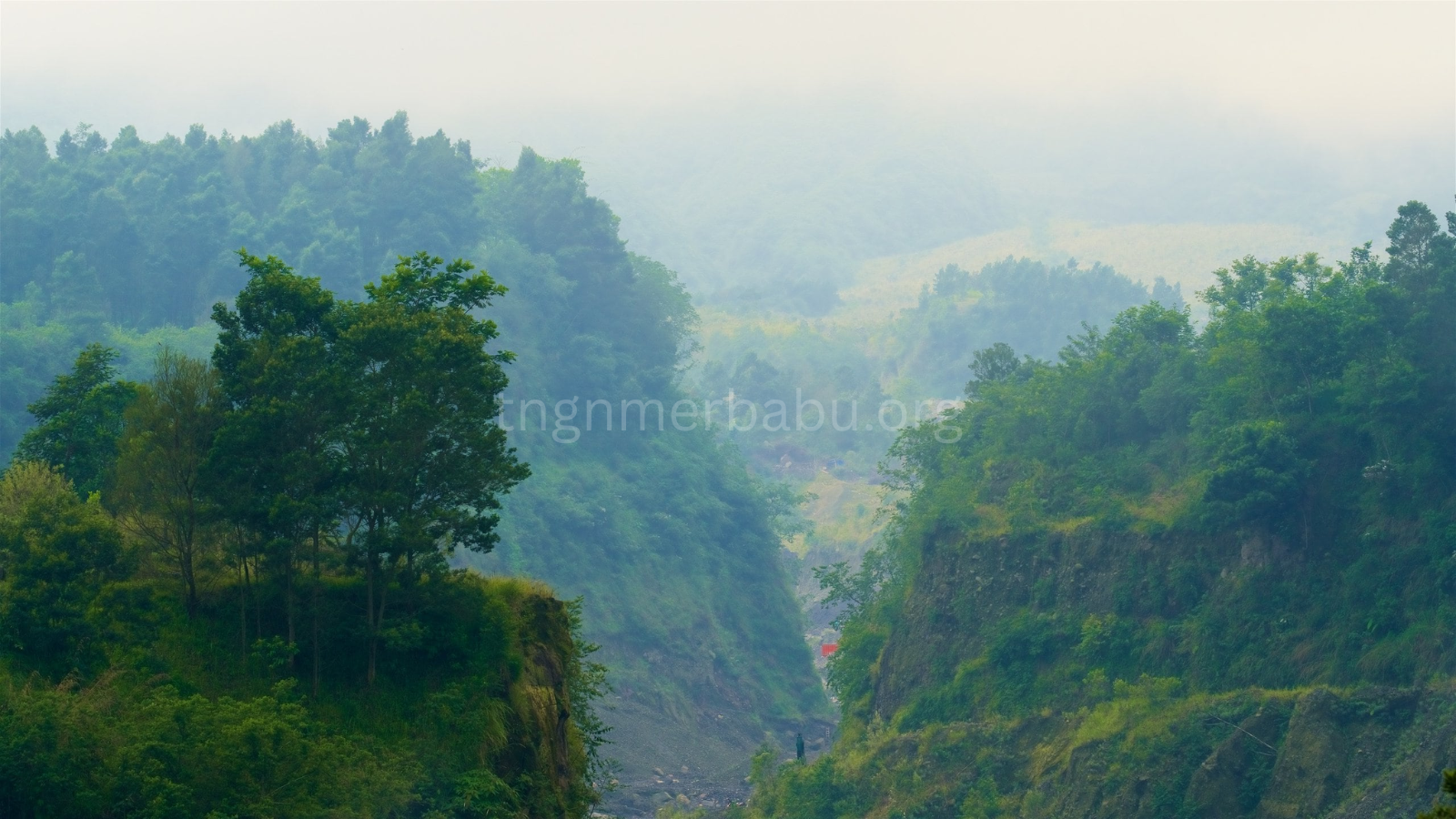 tngnmerbabu.org