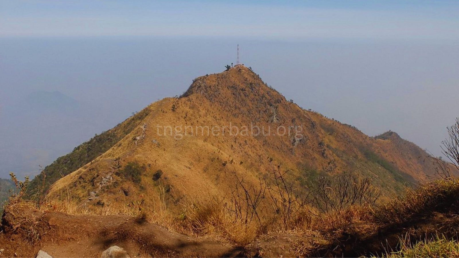 tngnmerbabu.org