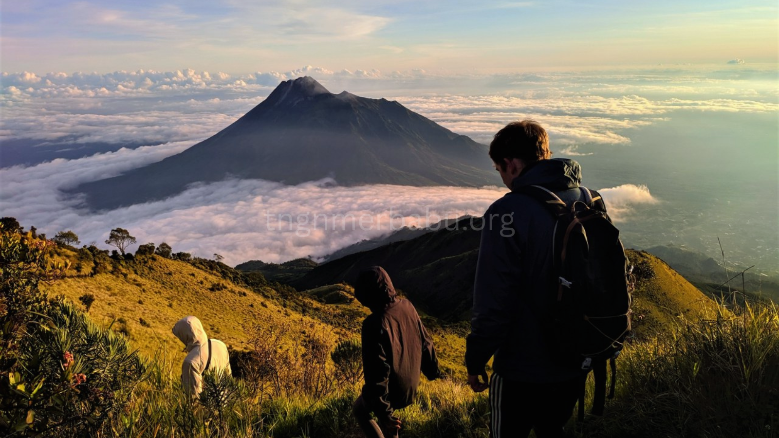 tngnmerbabu.org