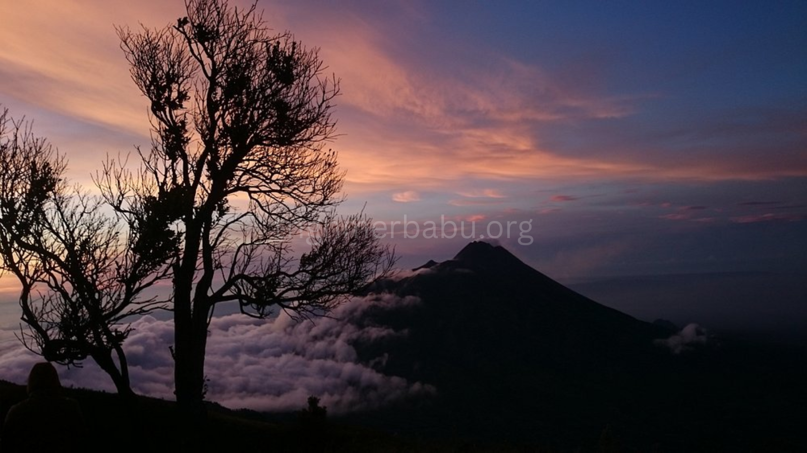 tngnmerbabu.org