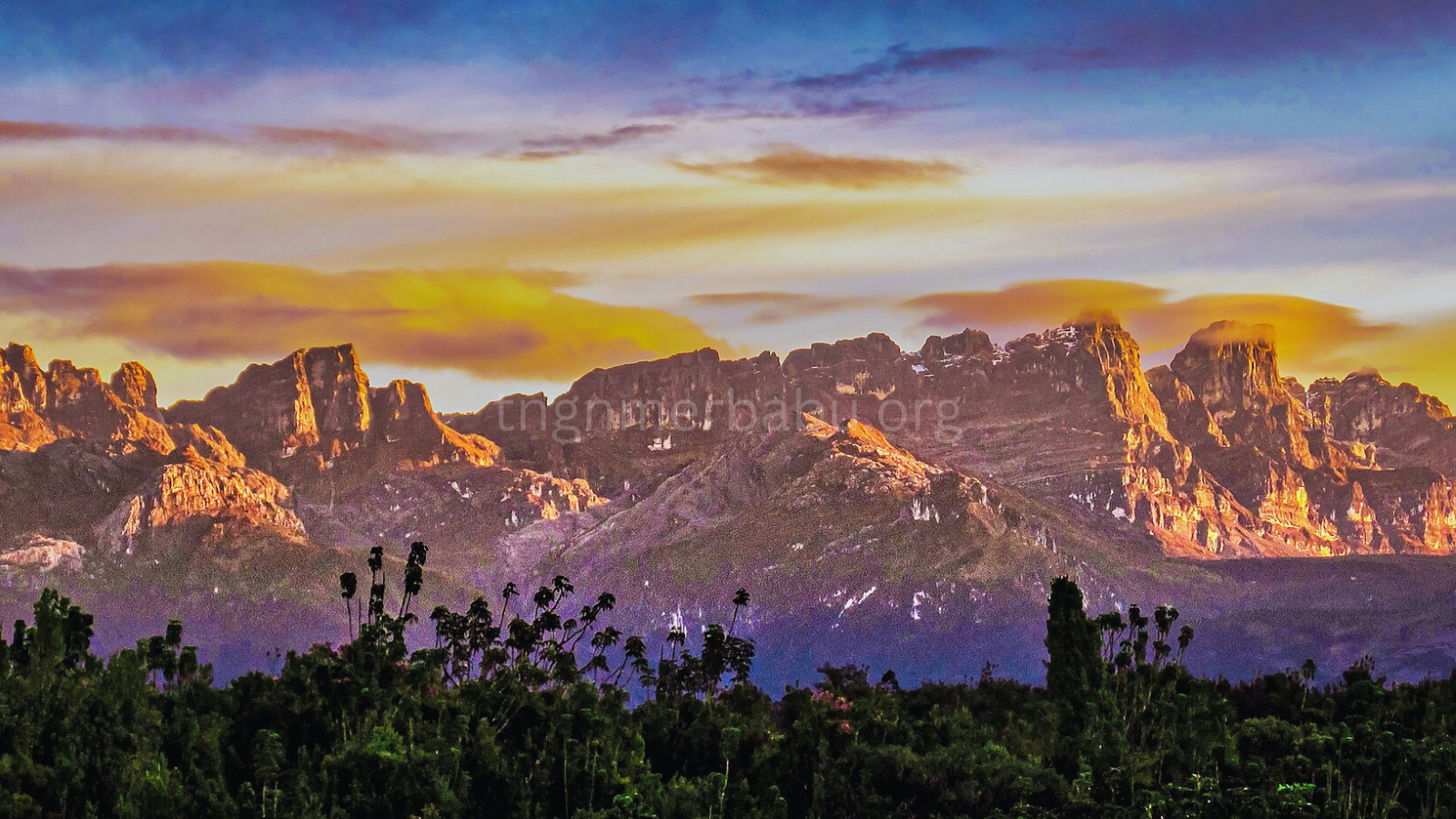 tngnmerbabu.org