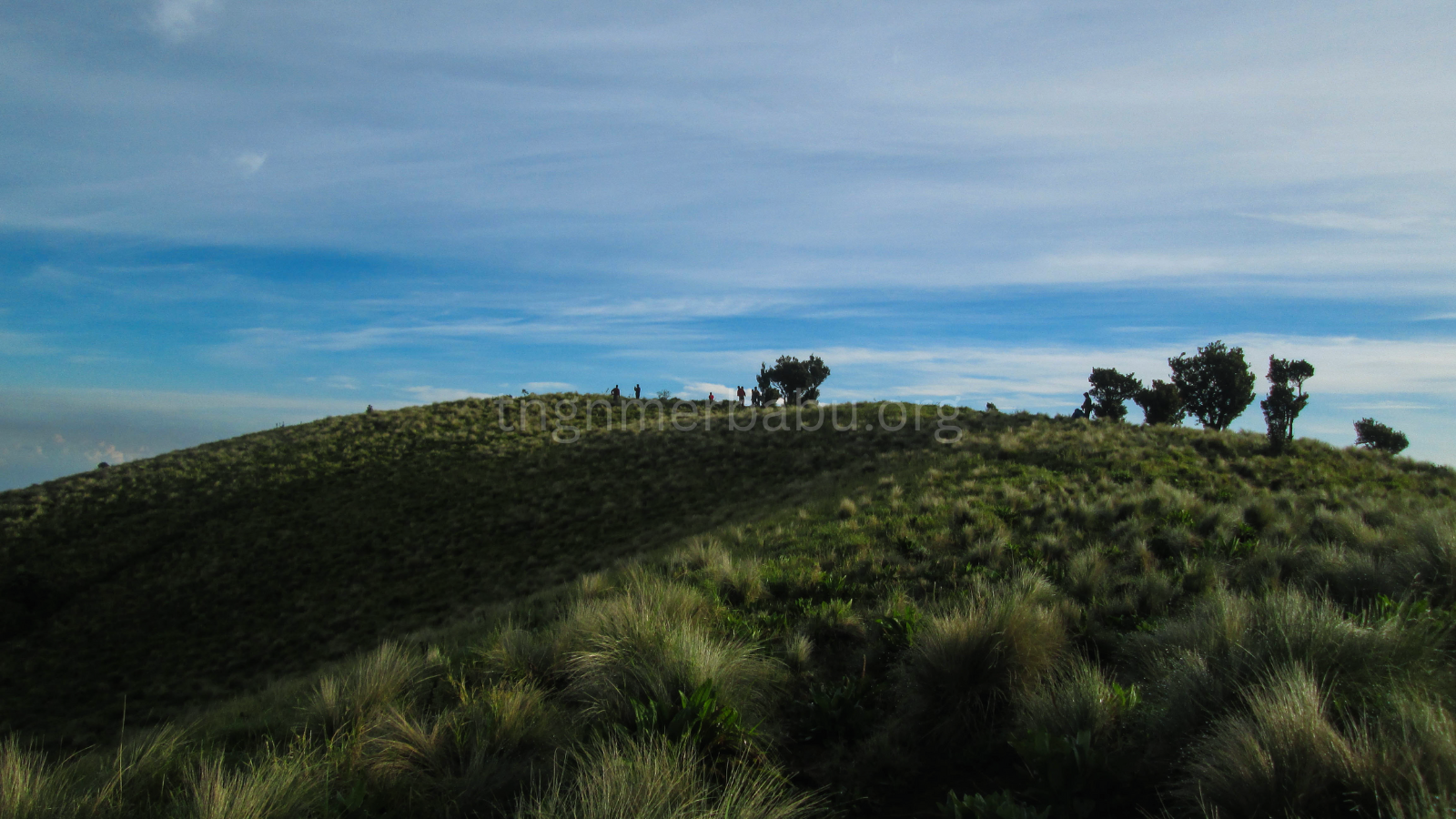 tngnmerbabu.org
