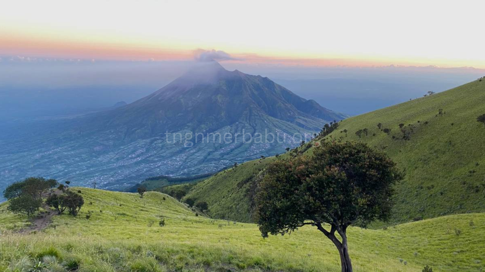 tngnmerbabu.org