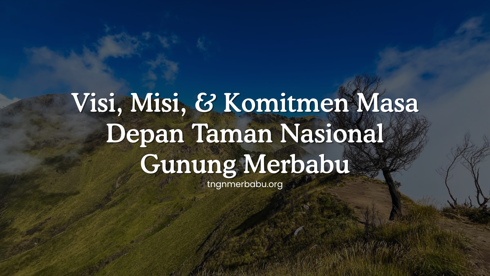 tngnmerbabu.org